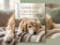 Senior Dog Care Guide: Health and Comfort for Dogs 7+